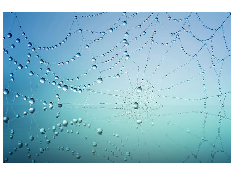 modern-3-piece-canvas-print-cobweb-in-morning-dew