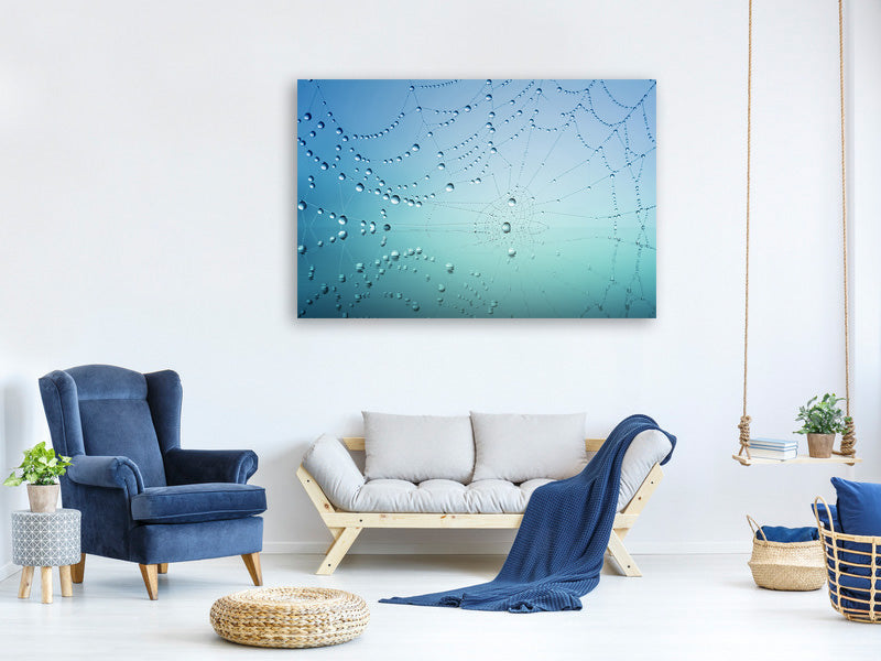 5-piece-canvas-print-cobweb-in-morning-dew