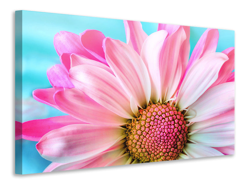 4-piece-canvas-print-colored-flower