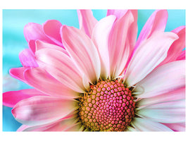 4-piece-canvas-print-colored-flower