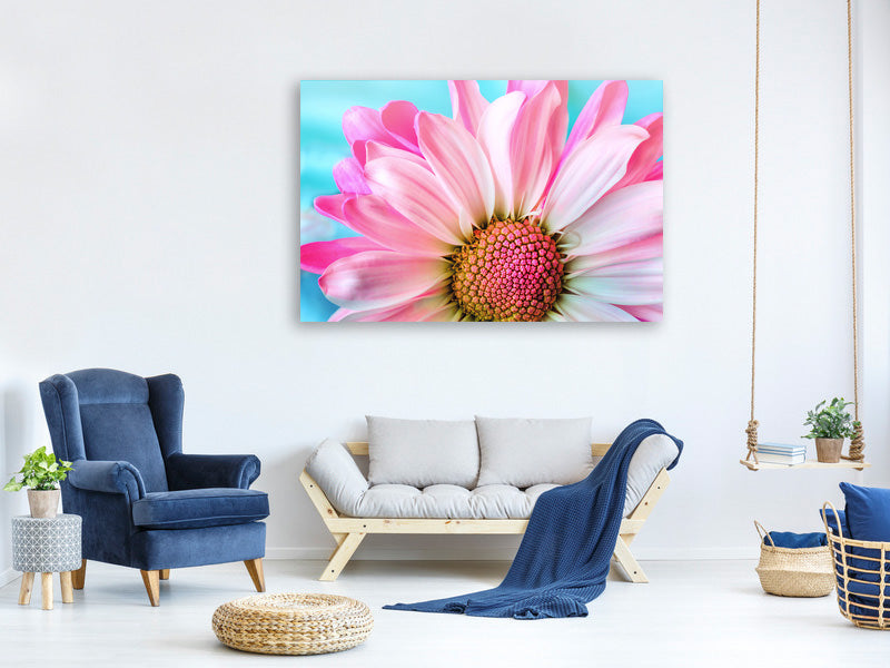 5-piece-canvas-print-colored-flower