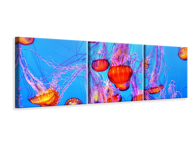 canvas-print-colorful-jellyfish