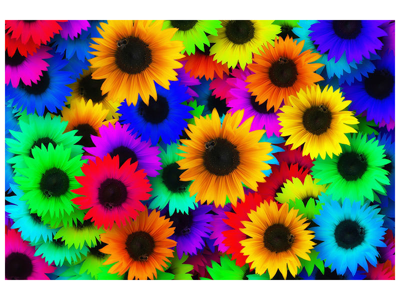panoramic-3-piece-canvas-print-colorful-sunflowers