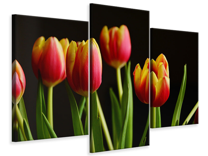 5-piece-canvas-print-colorful-tulips