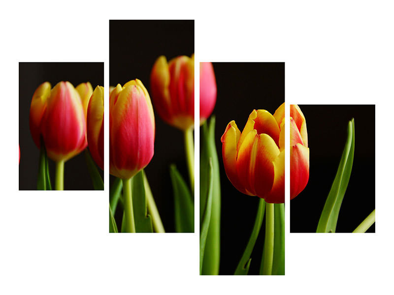 5-piece-canvas-print-colorful-tulips