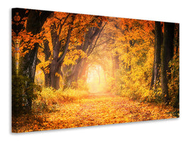 panoramic-3-piece-canvas-print-colors-magnificent-forest
