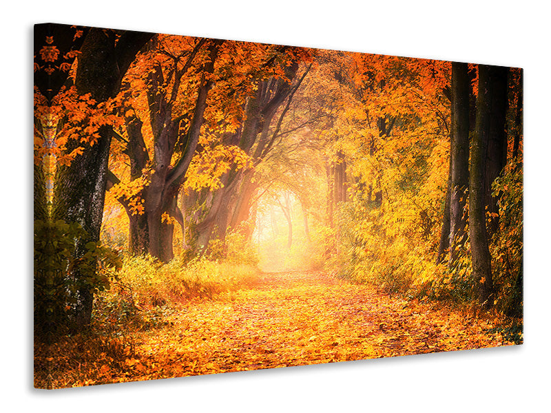 panoramic-canvas-print-colors-magnificent-forest
