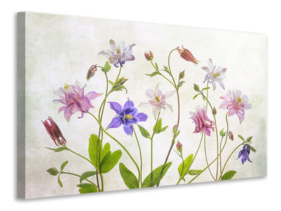 modern-3-piece-canvas-print-columbine