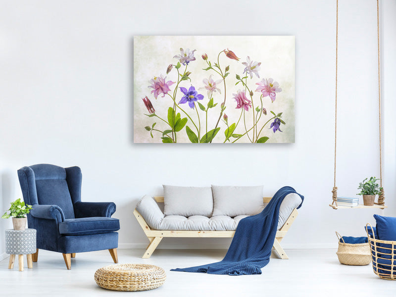 3-piece-canvas-print-columbine
