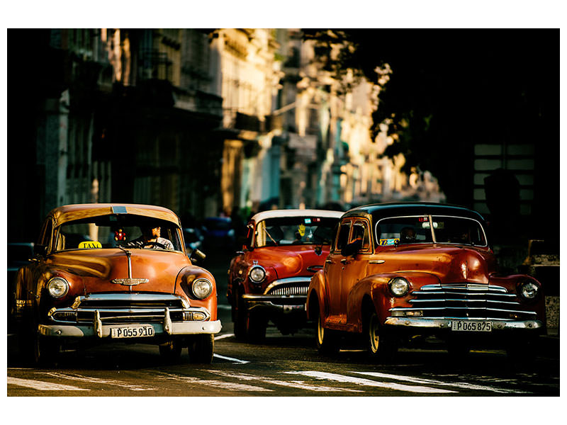 4-piece-canvas-print-come-with-me-in-the-morning-light