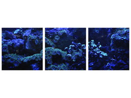 3-piece-canvas-print-coral-reef-in-blue