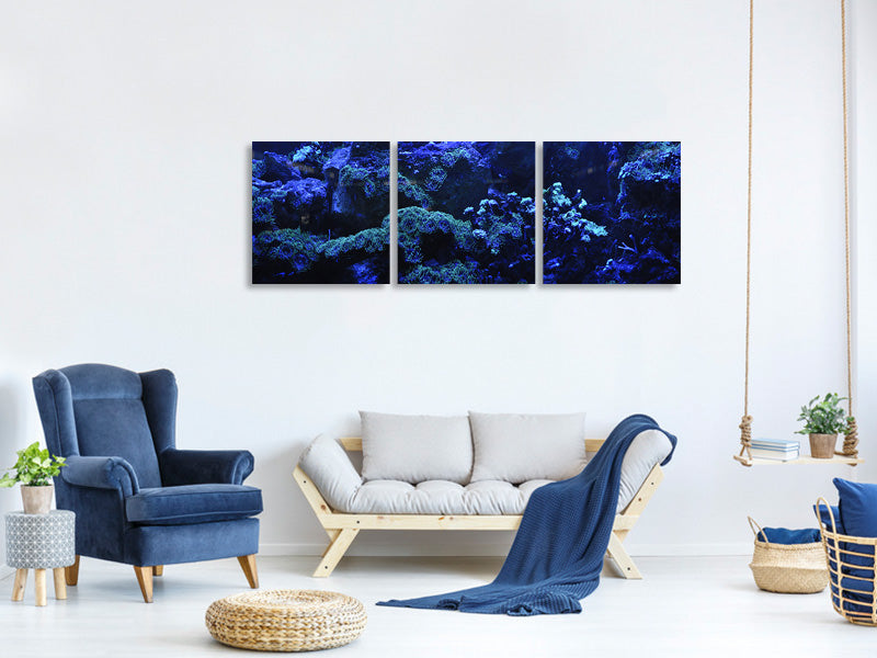 canvas-print-coral-reef-in-blue