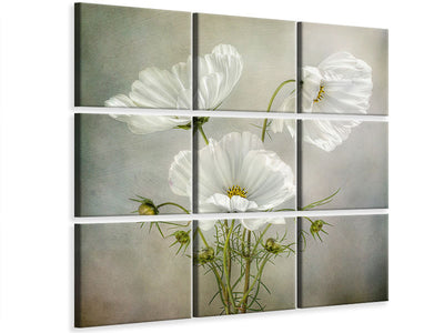 canvas-print-cosmos-charm