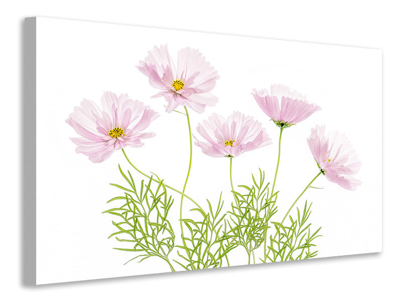 modern-4-piece-canvas-print-cosmos-cupcake
