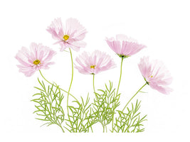 4-piece-canvas-print-cosmos-cupcake