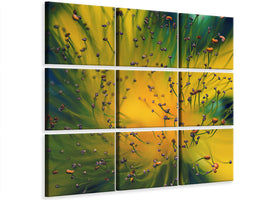 canvas-print-creation