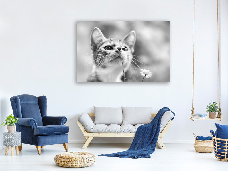 5-piece-canvas-print-curious