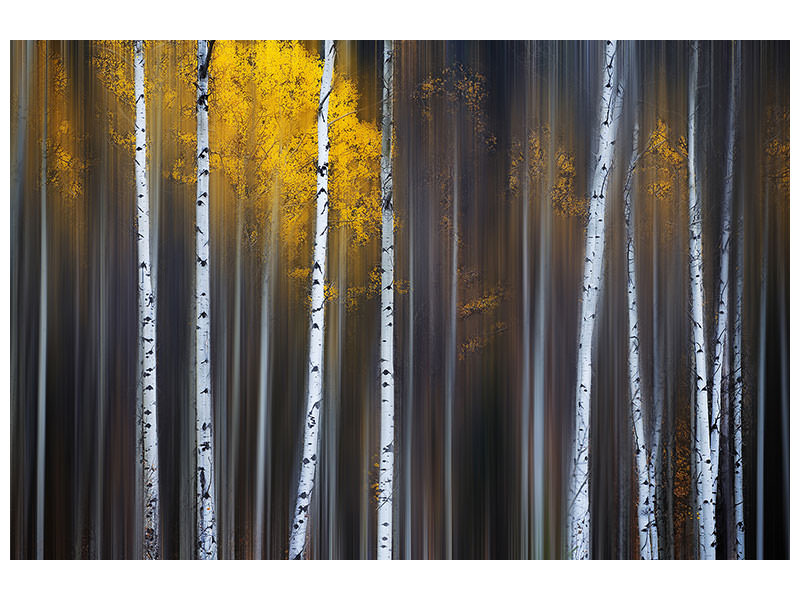3-piece-canvas-print-curtain-of-fall