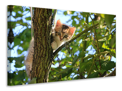 3-piece-canvas-print-cute-cat-child