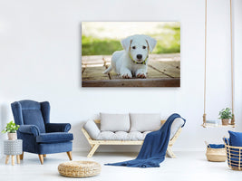 3-piece-canvas-print-cute-dog-baby