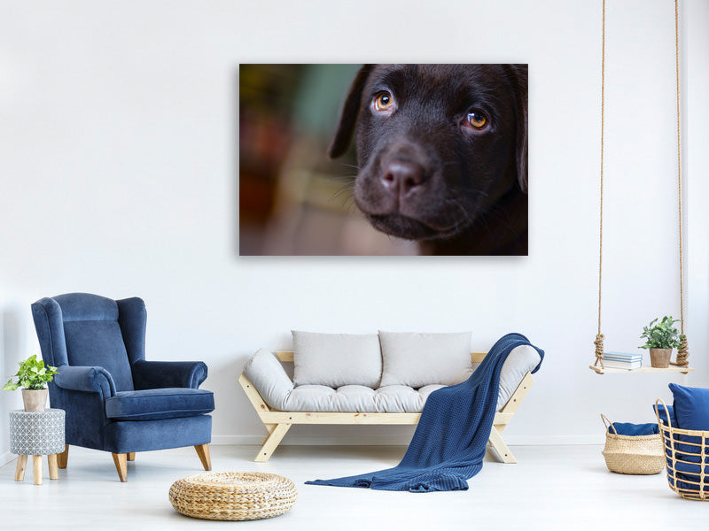 3-piece-canvas-print-cute-labrador-puppy