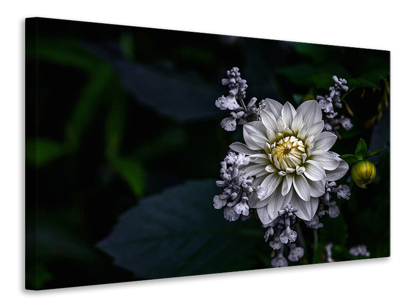 5-piece-canvas-print-dahlia-flower