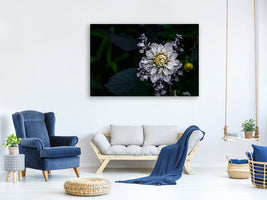 panoramic-3-piece-canvas-print-dahlia-flower