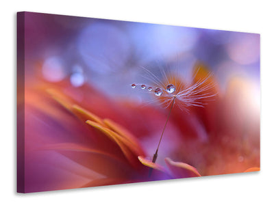3-piece-canvas-print-dance-in-the-light