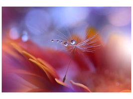 4-piece-canvas-print-dance-in-the-light