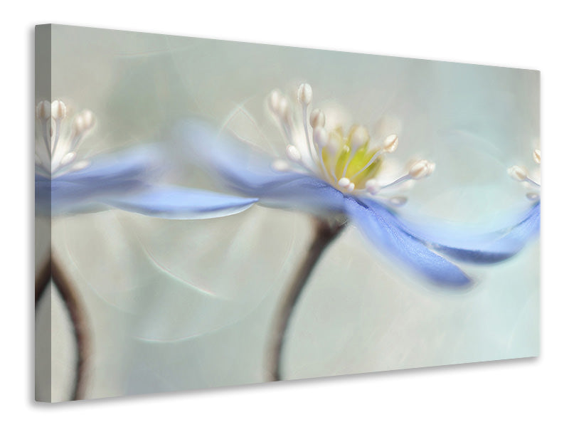 3-piece-canvas-print-dancing-anemones