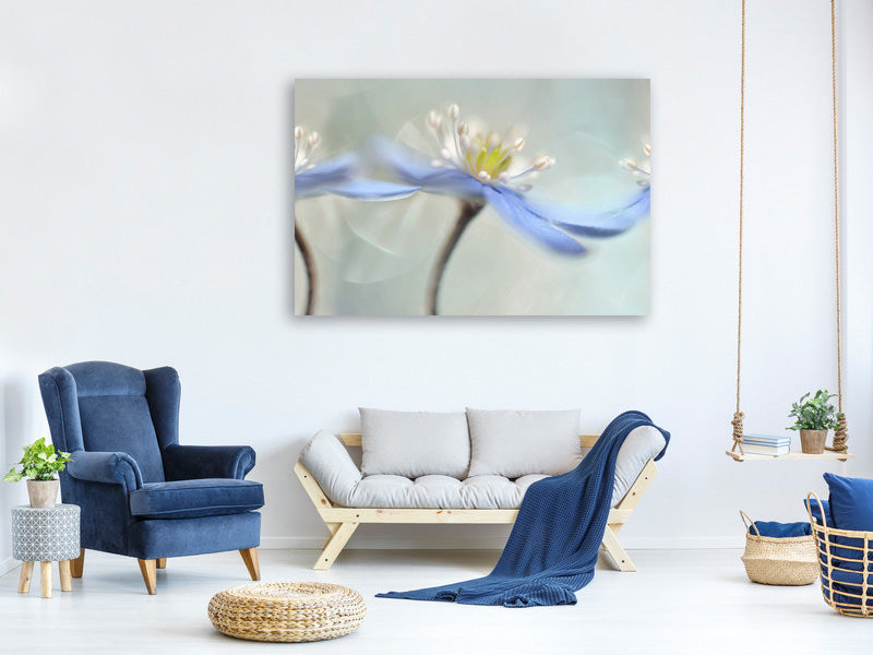 3-piece-canvas-print-dancing-anemones