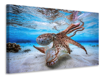 4-piece-canvas-print-dancing-octopus