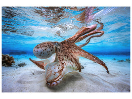 modern-4-piece-canvas-print-dancing-octopus