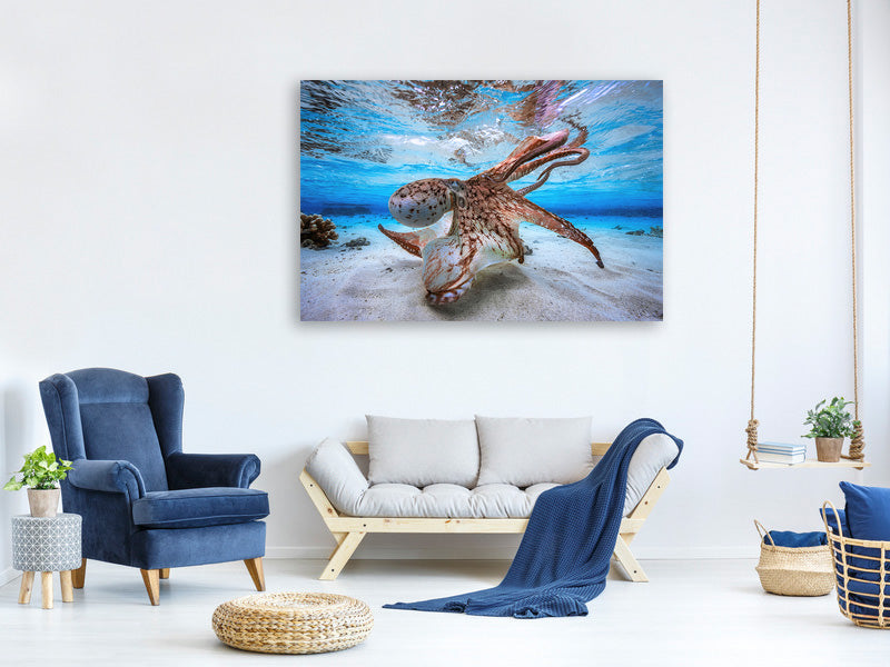 5-piece-canvas-print-dancing-octopus