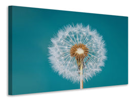 panoramic-canvas-print-dandelion-a