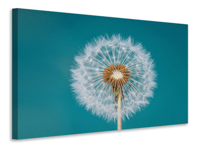 modern-4-piece-canvas-print-dandelion-a