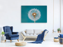 panoramic-canvas-print-dandelion-a
