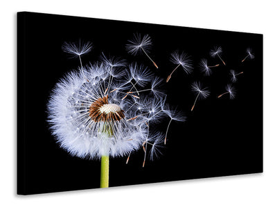 5-piece-canvas-print-dandelion-blowing