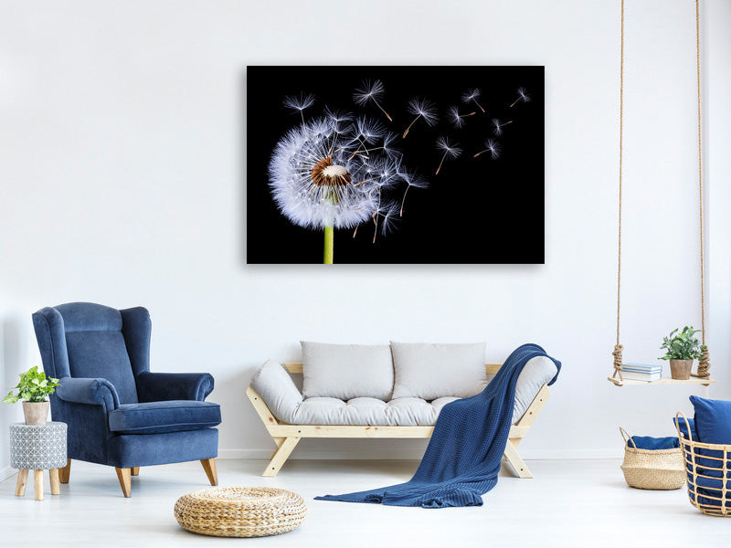 panoramic-3-piece-canvas-print-dandelion-blowing