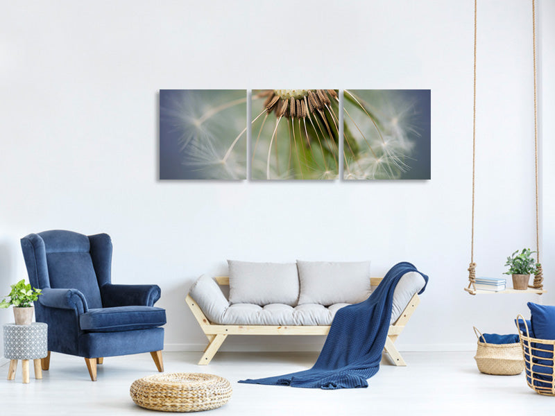 modern-4-piece-canvas-print-dandelion-close-up