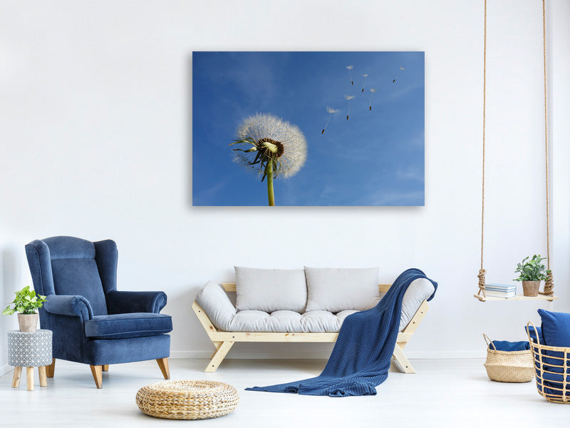 modern-4-piece-canvas-print-dandelion-i-wish-for-something