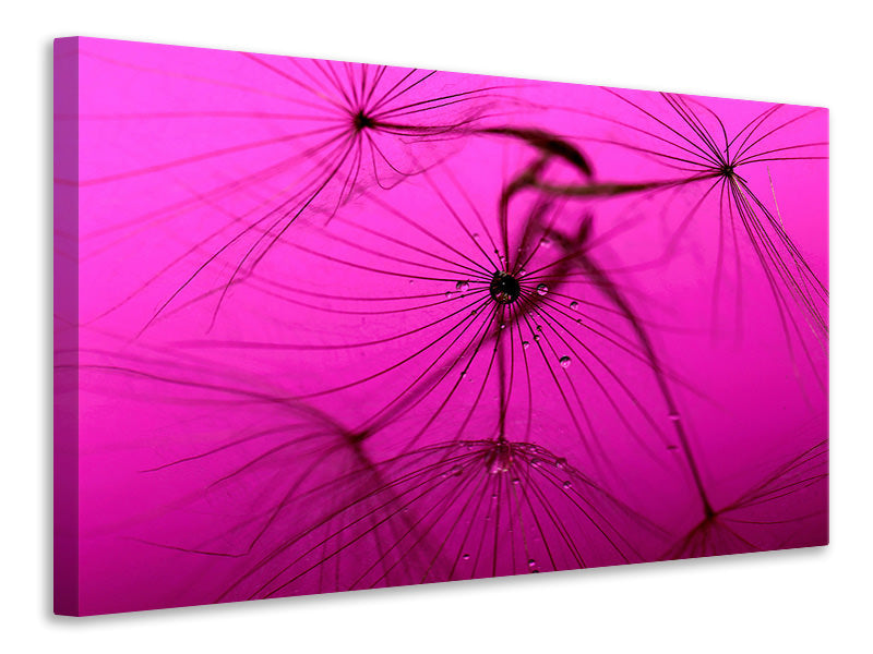 panoramic-3-piece-canvas-print-dandelion-in-pink