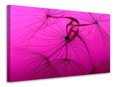 panoramic-3-piece-canvas-print-dandelion-in-pink