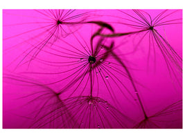 3-piece-canvas-print-dandelion-in-pink