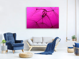 modern-4-piece-canvas-print-dandelion-in-pink
