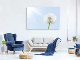 panoramic-3-piece-canvas-print-dandelion-in-sunbeam