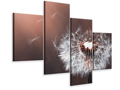 canvas-print-dandelion-in-the-evening-light