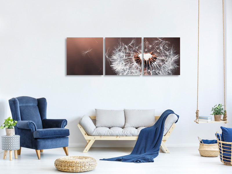 panoramic-canvas-print-dandelion-in-the-evening-light