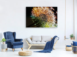 panoramic-3-piece-canvas-print-dandelion-in-the-morning-dew