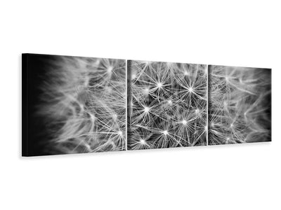 3-piece-canvas-print-dandelion-in-xxl